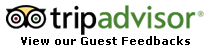 tripadvisor-feedback